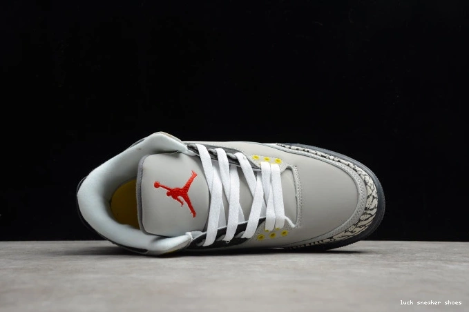 Rep LUCY Retro Grey 3 Cool CT8532-012 (2021) Air Jordan 0712